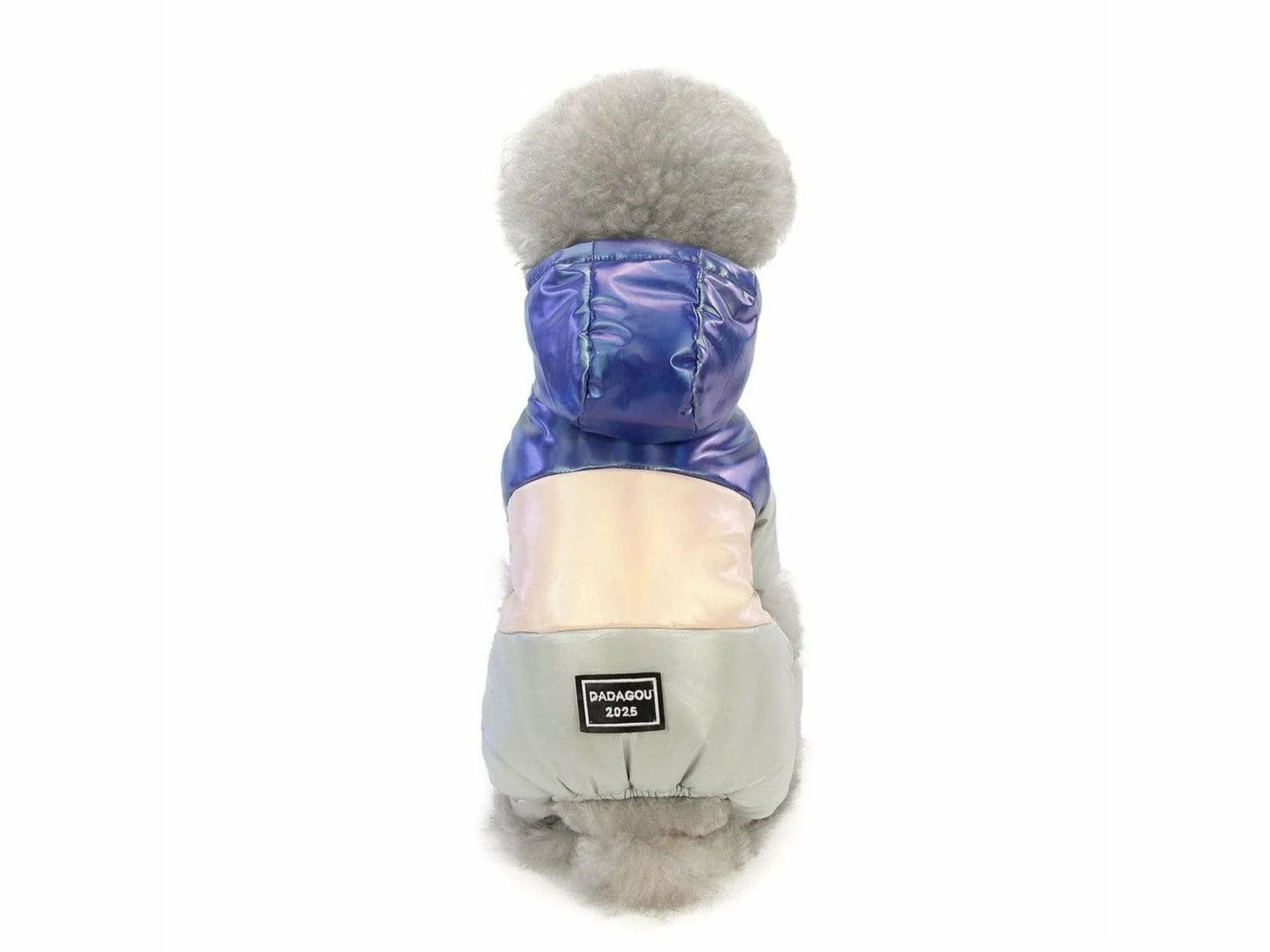 dog clothes Blue S AWYP-6